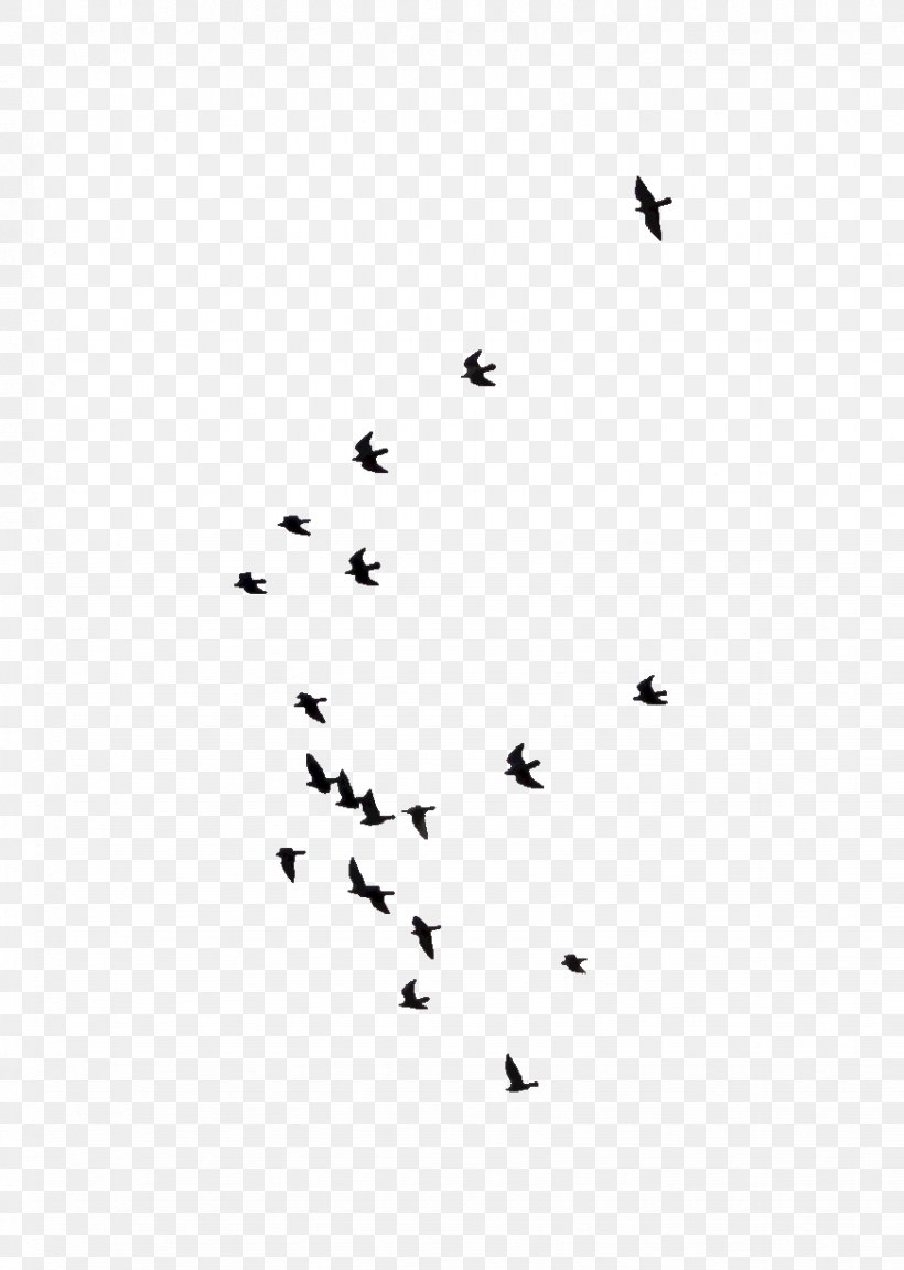 Bird Flock Flight Sky, PNG, 873x1227px, Bird, Animal, Beak, Bird Flight, Bird Migration Download Free