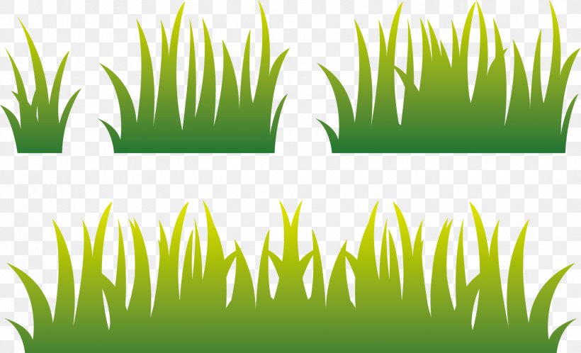 Lawn Euclidean Vector, PNG, 1646x1000px, Lawn, Commodity, Grass, Grass Family, Green Download Free