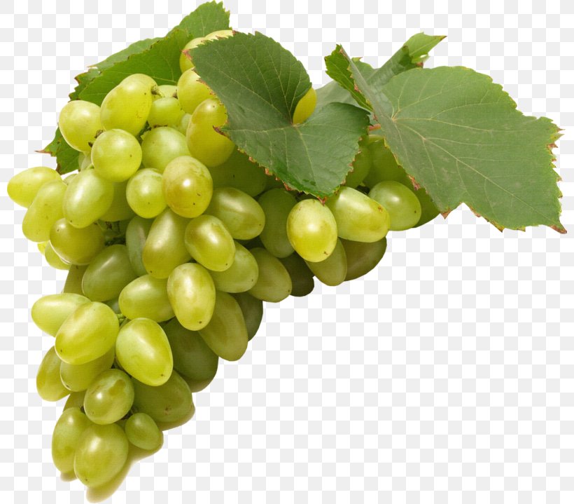Wine Concord Grape Negroamaro, PNG, 800x719px, Wine, Berry, Common Grape Vine, Concord Grape, Food Download Free