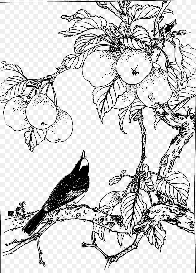 Asian Pear Visual Arts Crows Black And White, PNG, 999x1388px, Asian Pear, Art, Artwork, Beak, Bird Download Free