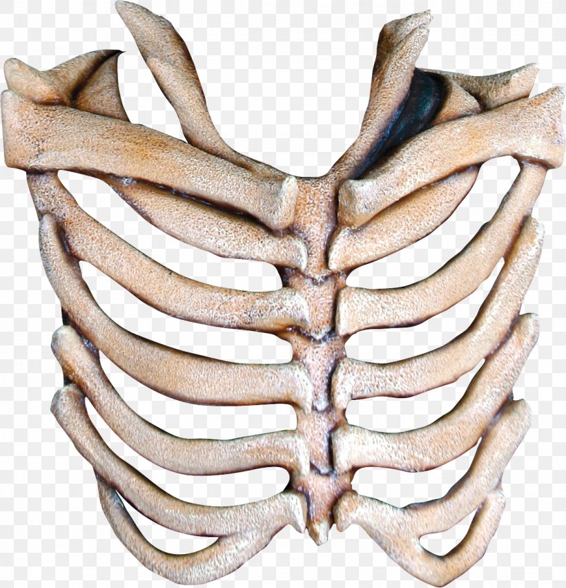 Human Skeleton Mask Bone Rib, PNG, 1124x1167px, Human Skeleton, Antler, Bone, Clavicle, Costume Download Free