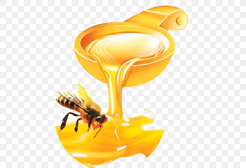 Honey Bee Honey Bee Pancake Food, PNG, 541x560px, Bee, Aganetha Dyck, Bee Pollen, Beehive, Food Download Free