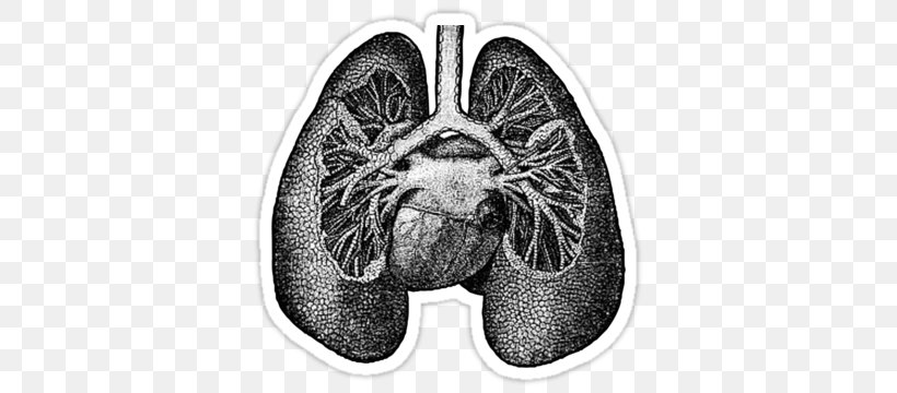 Lung Anatomy Drawing Heart Science, PNG, 375x360px, Lung, Anatomy, Biology, Black And White, Drawing Download Free