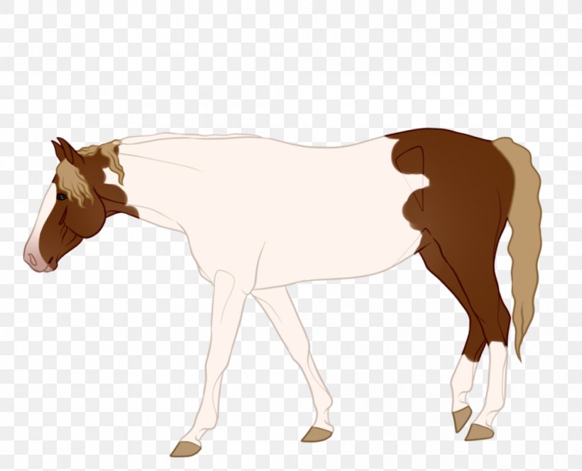 Mule Foal Stallion Mare Colt, PNG, 993x804px, Mule, Animal Figure, Bridle, Colt, Foal Download Free