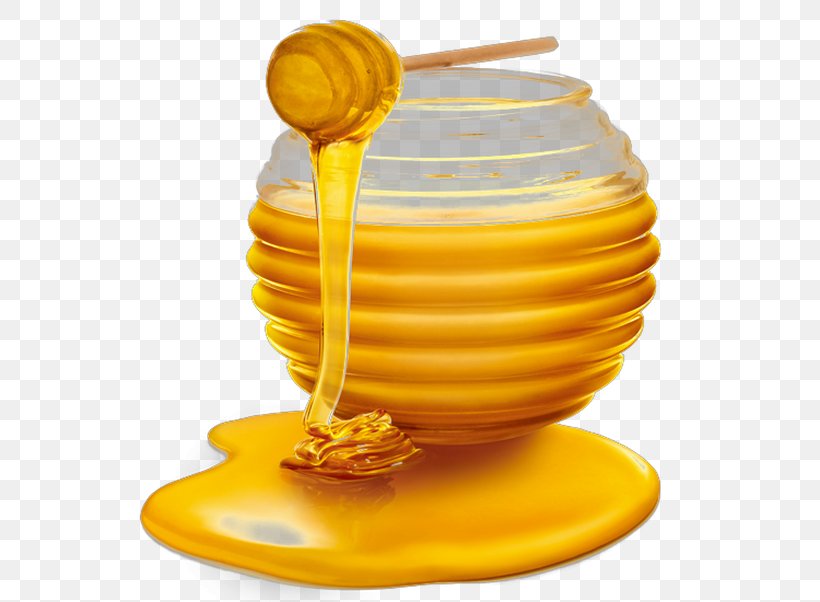 Honey Bee Clip Art, PNG, 586x602px, Bee, Computer Graphics, Honey, Honey Bee, Honeycomb Download Free