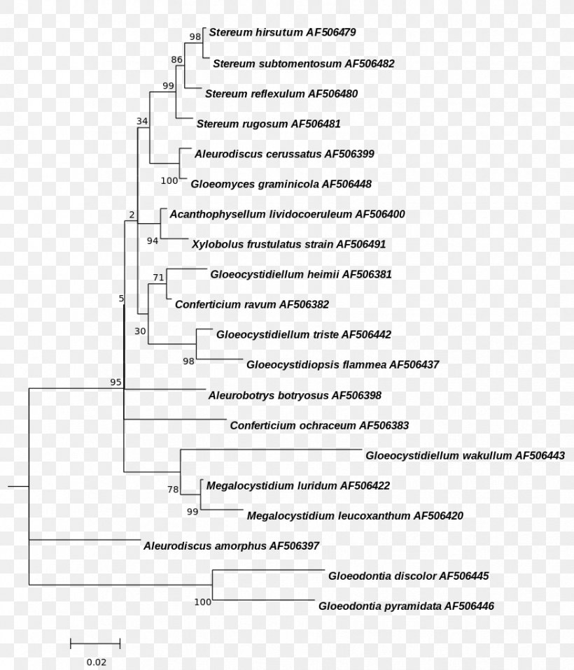 Prochlorophyta Phylogenetics Prochlorothrix Phylogenetic Tree Blue-green Bacteria, PNG, 876x1024px, Watercolor, Cartoon, Flower, Frame, Heart Download Free