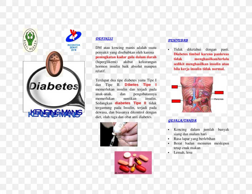 Diabetes Mellitus Type 2 Pamphlet Brochure Anti diabetic Medication
