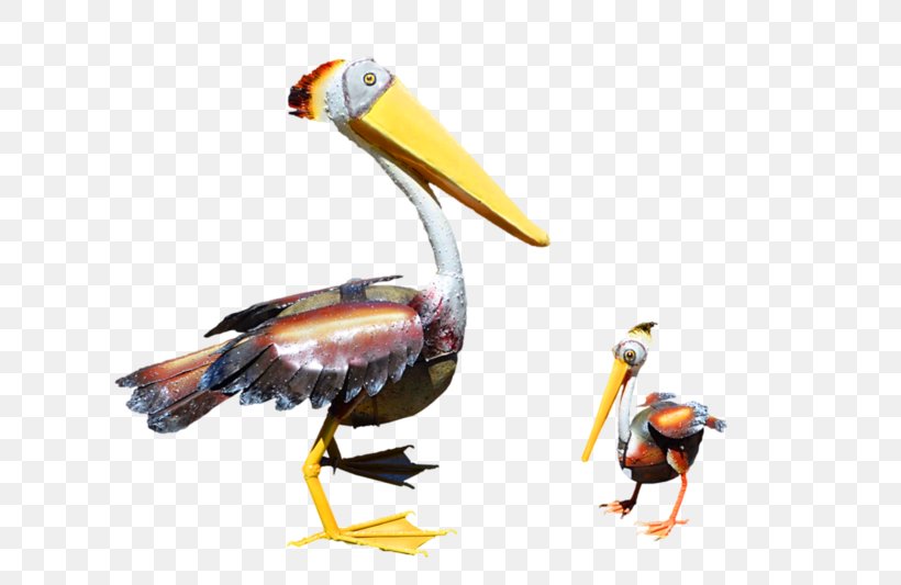 Pelican Products Toucan Fauna Beak, PNG, 639x533px, Pelican, Beak, Bird, Fauna, Pelecaniformes Download Free