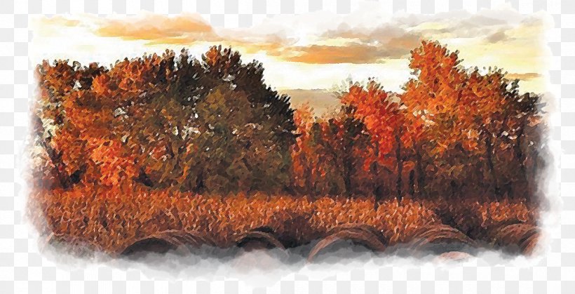 Rising Sun Ohio County Tourism Painting Art, PNG, 1200x614px, Painting, Art, Autumn, Email, Geological Phenomenon Download Free