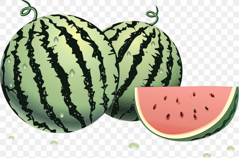 Watermelon Clip Art Image Muskmelon, PNG, 3528x2346px, Watermelon, Citrullus, Cucumber, Cucumber Gourd And Melon Family, Cucumis Download Free