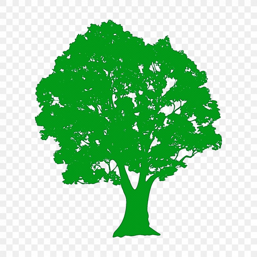 Arbor Day, PNG, 1200x1200px, Green, Arbor Day, Grass, Leaf, Plane Download Free