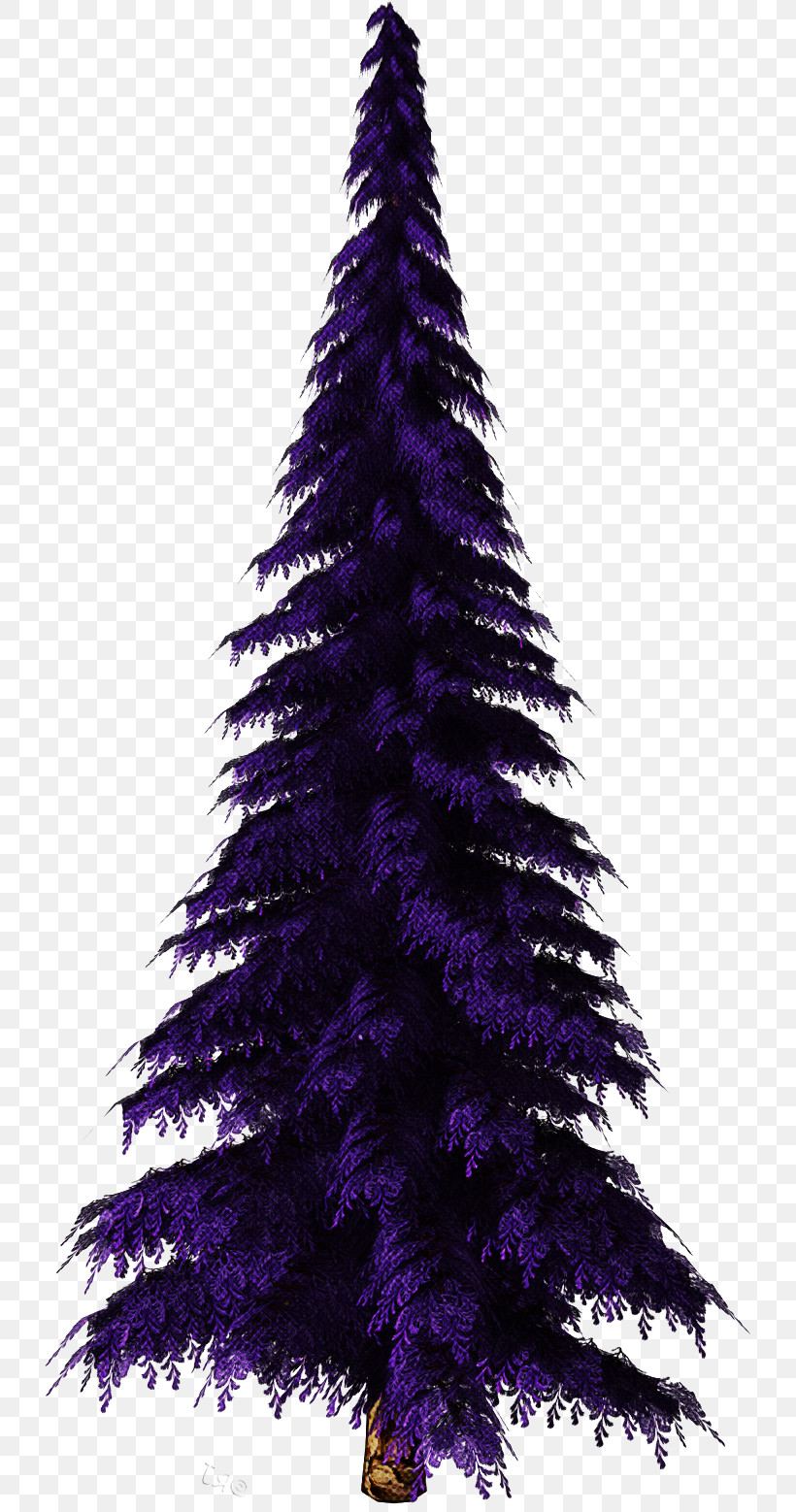Christmas Tree, PNG, 738x1558px, Tree, American Larch, Christmas Decoration, Christmas Tree, Colorado Spruce Download Free