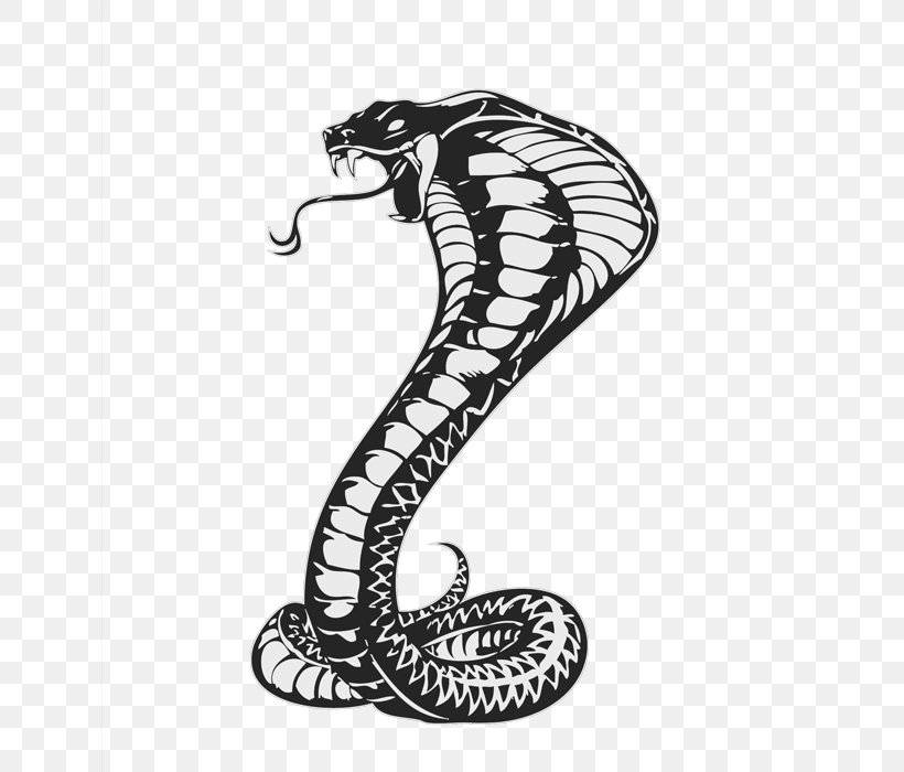 Snakes Drawing King Cobra Cobras, PNG, 700x700px, Snakes, Art, Black And White, Cobra, Cobras Download Free