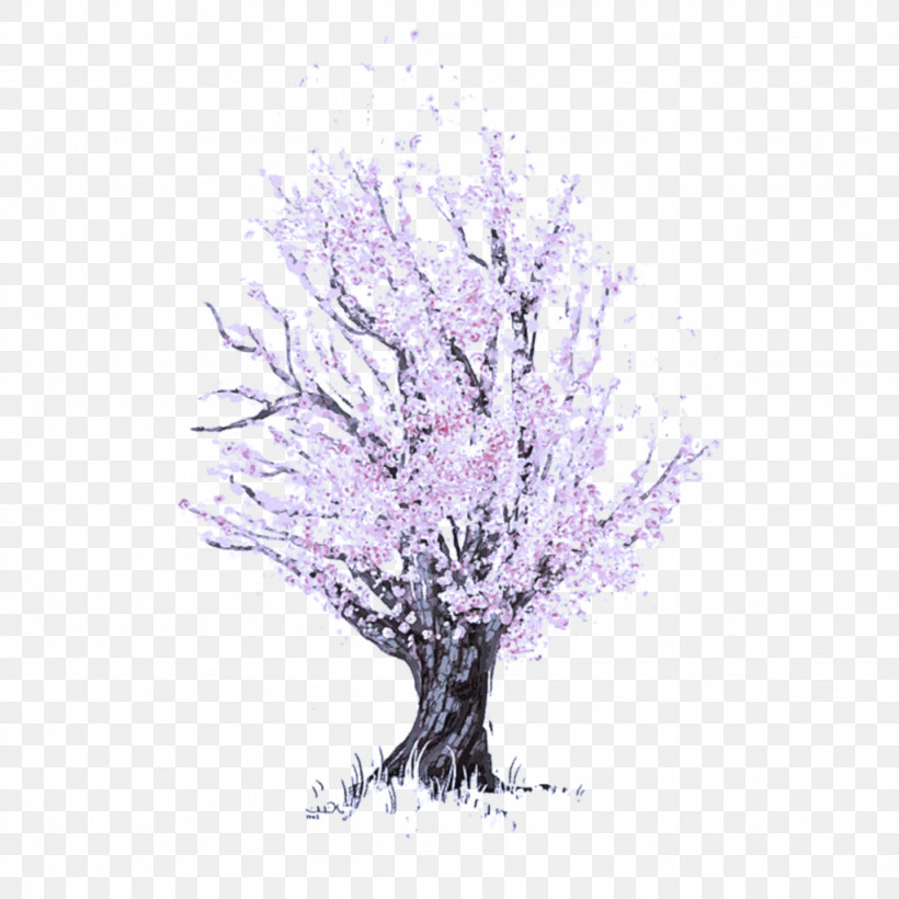 Tree Branch Woody Plant Plant Purple, PNG, 1024x1024px, Tree, Branch, Drawing, Lilac, Plant Download Free