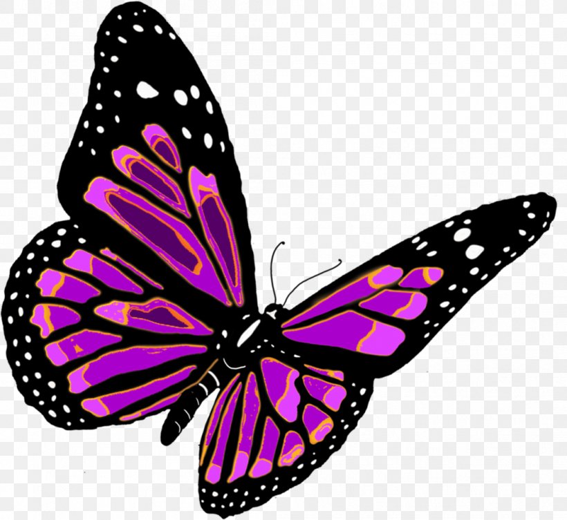 Butterfly Clip Art, PNG, 1053x967px, Butterfly, Brush Footed Butterfly, Color, Image File Formats, Insect Download Free