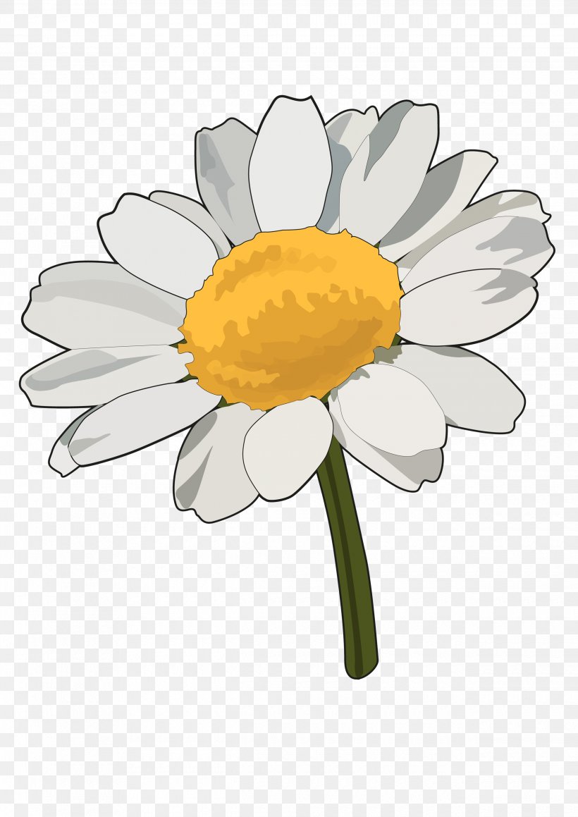Common Daisy Flower Herbaceous Plant, PNG, 2480x3508px, Common Daisy, Arj, Common Sunflower, Cut Flowers, Daisy Download Free