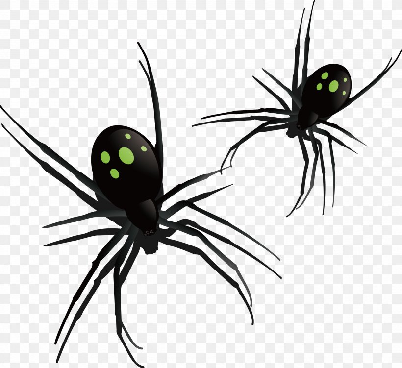 Southern Black Widow Spider Insect Pattern, PNG, 2569x2354px, Southern Black Widow, Arachnid, Arthropod, Black Widow, Clock Download Free