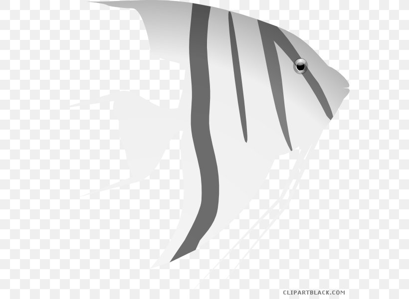 Goldfish Freshwater Angelfish Ray-finned Fishes Aquarium Marine Angelfishes, PNG, 582x600px, Goldfish, Angelfish, Aquarium, Black, Black And White Download Free