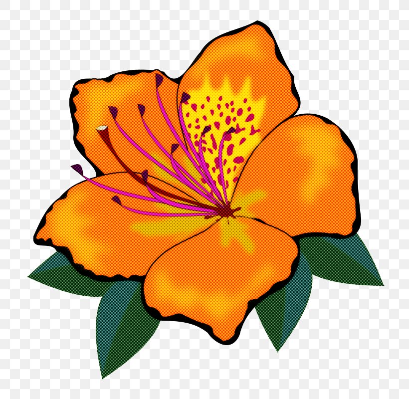Orange, PNG, 800x800px, Orange, Flower, Flowering Plant, Petal, Plant Download Free