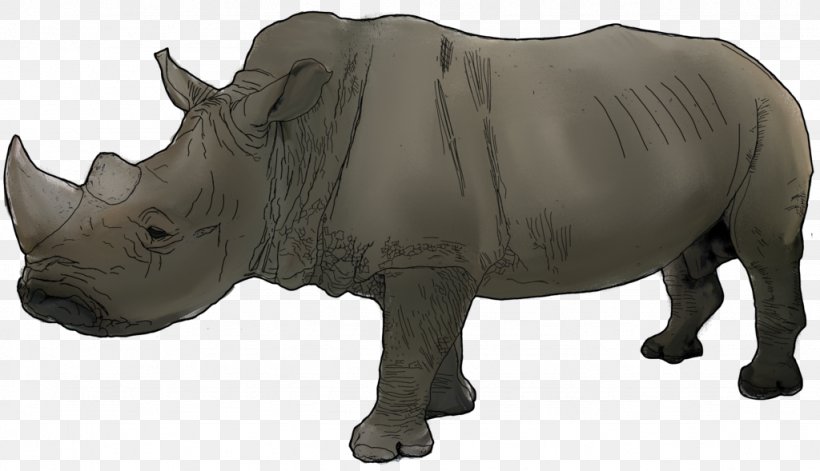Rhinoceros Cattle Mammal Fauna Wildlife, PNG, 1024x589px, Watercolor, Cartoon, Flower, Frame, Heart Download Free