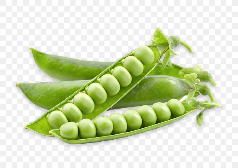 Snap Pea Vegetarian Cuisine Food Seed, PNG, 726x580px, Pea, Bean, Commodity, Food, Fruit Download Free