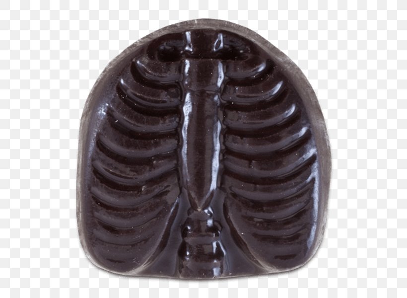 Anatomy Rib Chocolate Bone Button, PNG, 600x600px, Anatomy, Barnes Noble, Bone, Box, Button Download Free