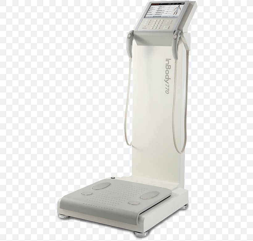 Body Composition InBody Bioelectrical Impedance Analysis Body Water Human Body, PNG, 501x782px, Body Composition, Bioelectrical Impedance Analysis, Body Fat Percentage, Body Water, Fat Download Free
