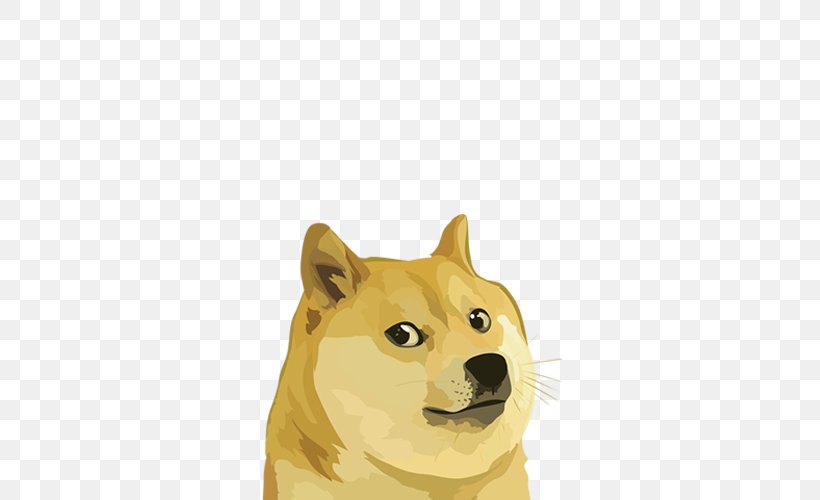 Dogecoin Shiba Inu Cryptocurrency Altcoins, PNG, 800x500px, Dogecoin, Altcoins, Bitcoin, Carnivoran, Coin Download Free