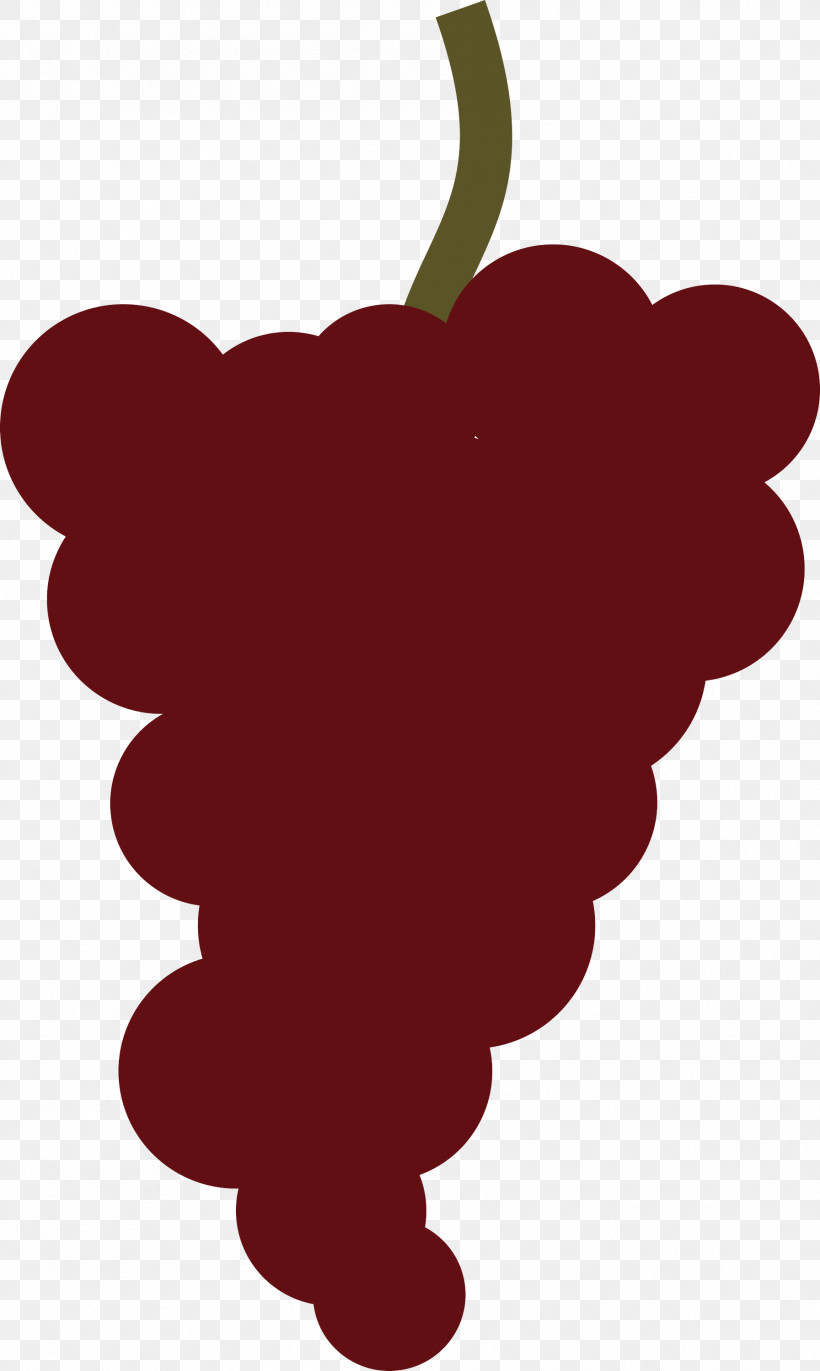 Grape M-095 Raisin Wine Grape Leaves, PNG, 1793x2999px, Grape, Cartoon, Drawing, Fruit, Grape Leaves Download Free
