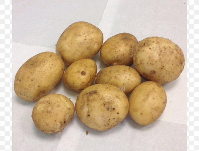 Russet Burbank Potato Yukon Gold Potato Tuber STX EUA 800 F.SV.PR USD, PNG, 1000x760px, Russet Burbank Potato, Food, Potato, Potato And Tomato Genus, Root Vegetable Download Free