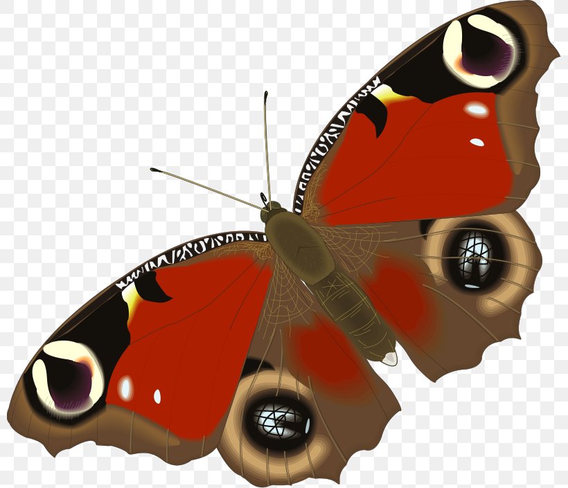 Butterfly Animation Aglais Io Clip Art, PNG, 800x705px, Butterfly, Aglais Io, Animal, Animation, Arthropod Download Free