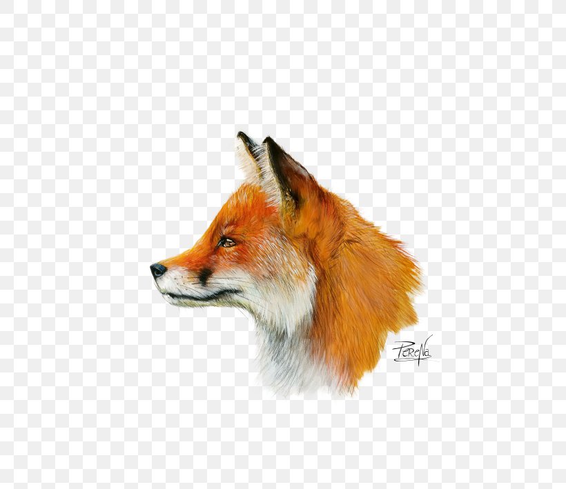 Drawing Watercolor Painting Paintbrush, PNG, 740x709px, Drawing, Art, Carnivoran, Colored Pencil, Dog Like Mammal Download Free