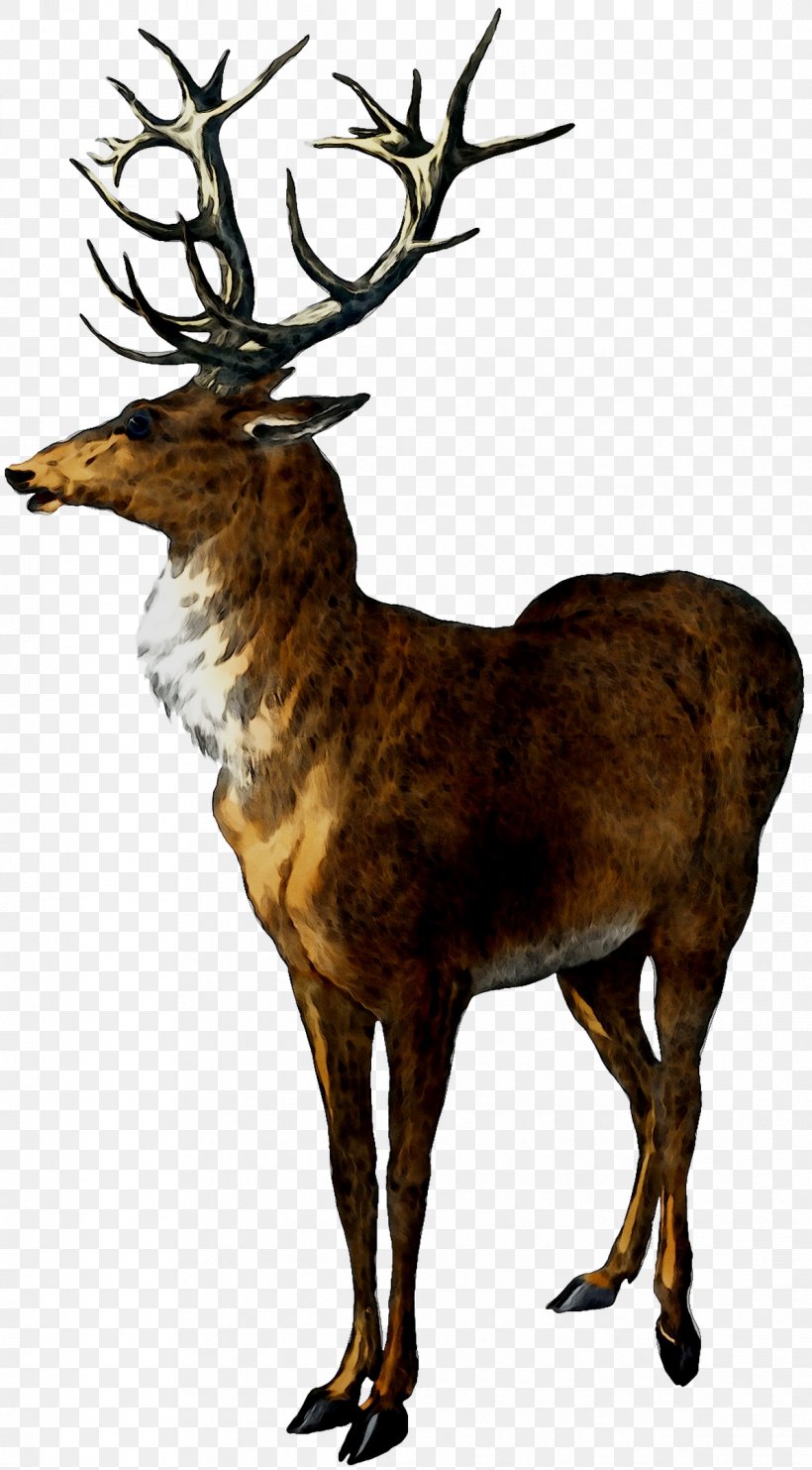 Reindeer Antler PANDORA Vintage Elegance CZ Ring Elk, PNG, 1194x2160px, Reindeer, Antler, Christmas Day, Deer, Elk Download Free