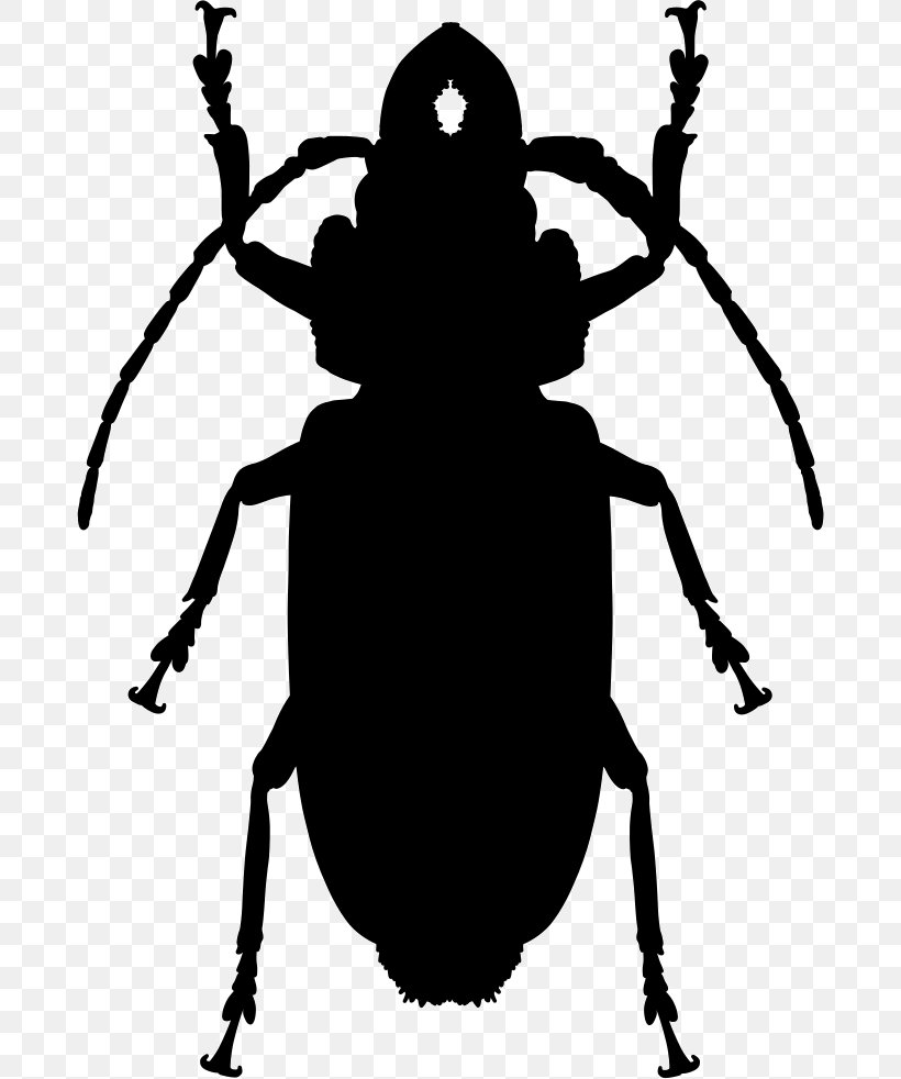 Cockroach Insect, PNG, 680x982px, Cockroach, Artwork, Black And White, Fictional Character, Fly Download Free