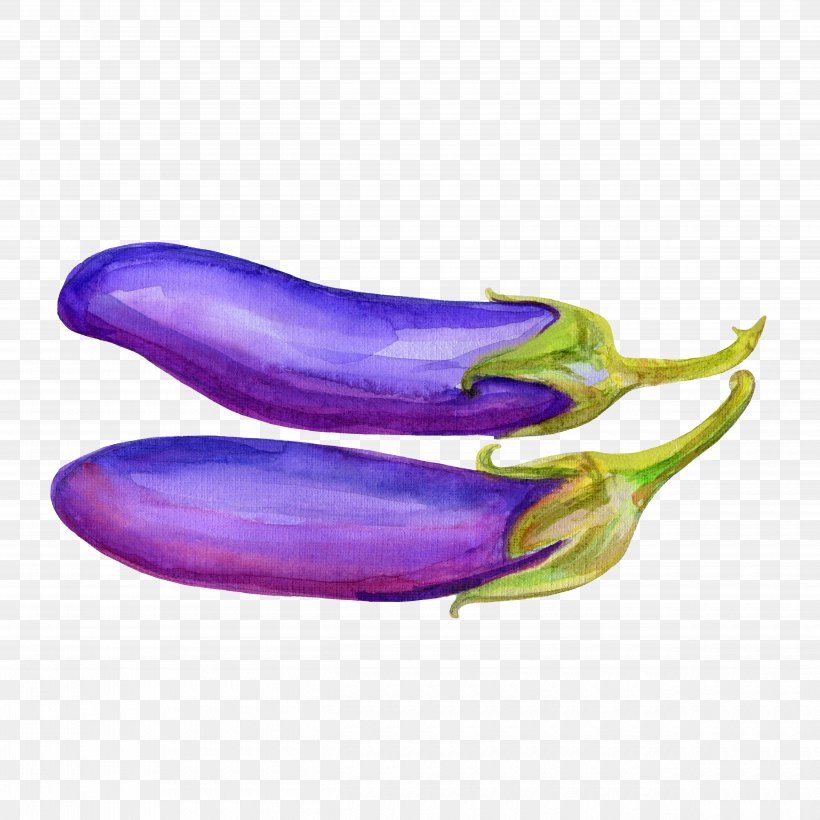 Eggplant Vegetable Drawing Illustration, PNG, 5000x5000px, Eggplant, Drawing, Food, Painting, Purple Download Free