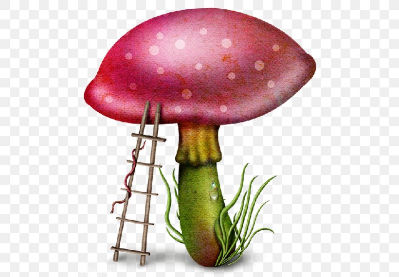 Mushroom Download Clip Art, PNG, 494x570px, Mushroom, Fairy Door, Fantasy, Photography, Transparency And Translucency Download Free