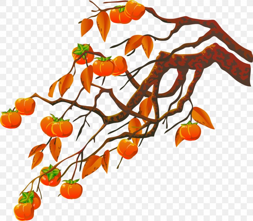 Persimmon Clip Art, PNG, 2260x1981px, Tree, Branch, Clip Art, Coreldraw, Floral Design Download Free