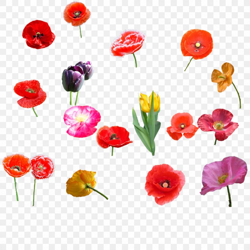 Poppy Flower Bouquet Tulip, PNG, 1000x1000px, Poppy, Artificial Flower, Cut Flowers, Flora, Floral Design Download Free