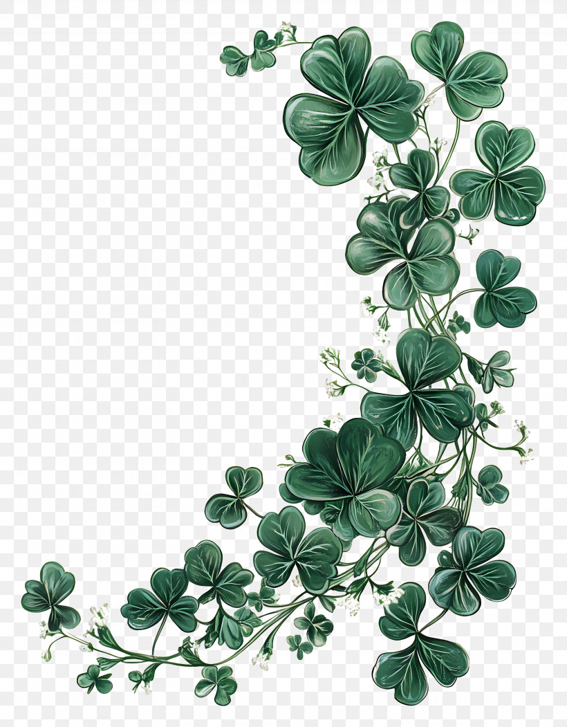 Shamrock - Green Clover Leaves And Vines PNG