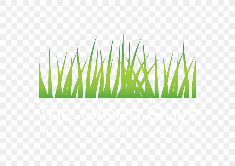 Artificial Turf Lawn Price Commodity, PNG, 3508x2480px, Artificial Turf, Commodity, Denver, Grass, Grass Family Download Free