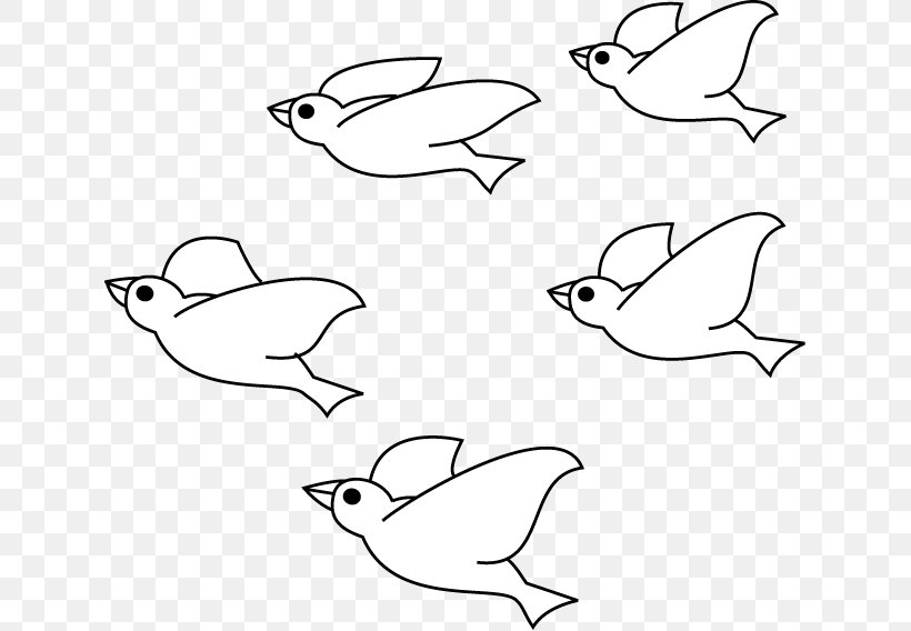 Bird Drawing Line Art, PNG, 631x568px, Bird, Animal, Area, Art, Beak Download Free