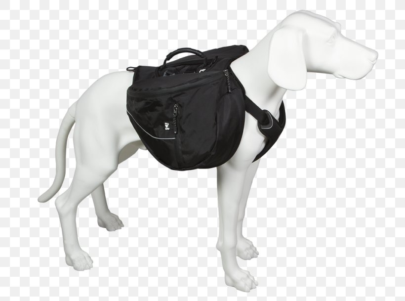 Dog Breed Backpack Trail Hiking, PNG, 800x609px, Dog, Backpack, Backpacking, Bag, Belt Download Free
