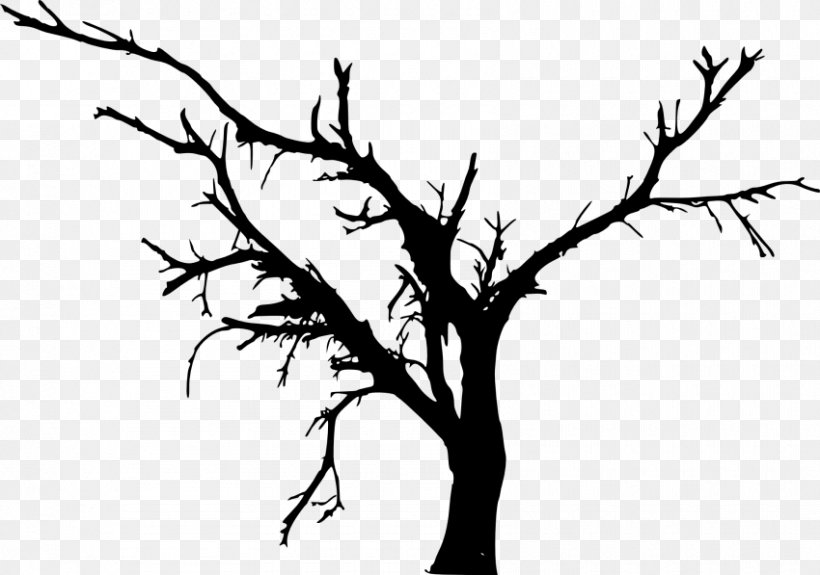 Branch Tree, PNG, 850x597px, Branch, Art, Beak, Bird, Black And White Download Free