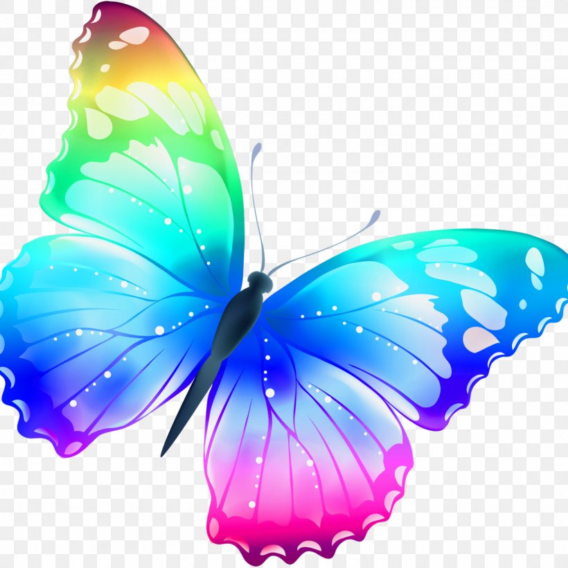 Butterfly Color Clip Art, PNG, 1500x1500px, 3d Computer Graphics, Butterfly, Aqua, Blue, Brush Footed Butterfly Download Free