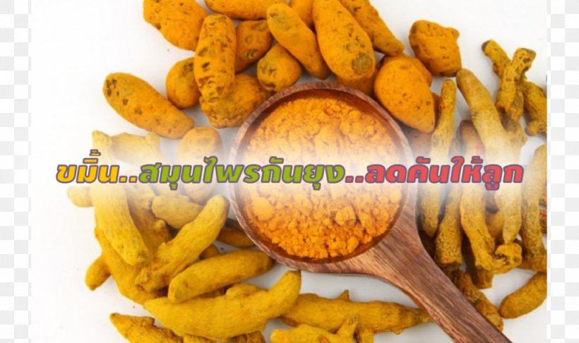 Indian Cuisine Turmeric Curcumin Tea, PNG, 1024x608px, Indian Cuisine, Cinnamon, Cuisine, Curcumin, Curry Download Free