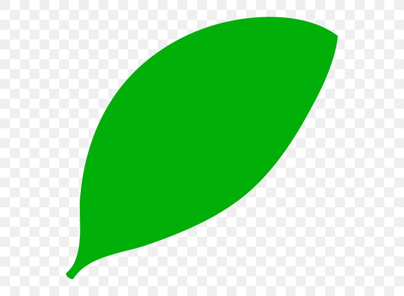Leaf Graphics Product Design, PNG, 600x600px, Leaf, Grass, Green, Plant Download Free