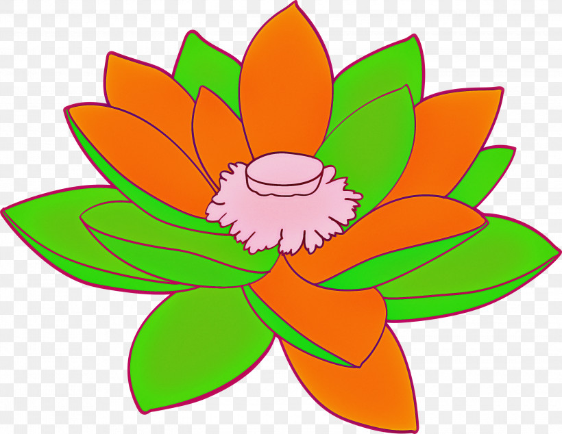 Lotus Flower, PNG, 3000x2320px, Lotus, Cut Flowers, Flower, Leaf, Orange Download Free