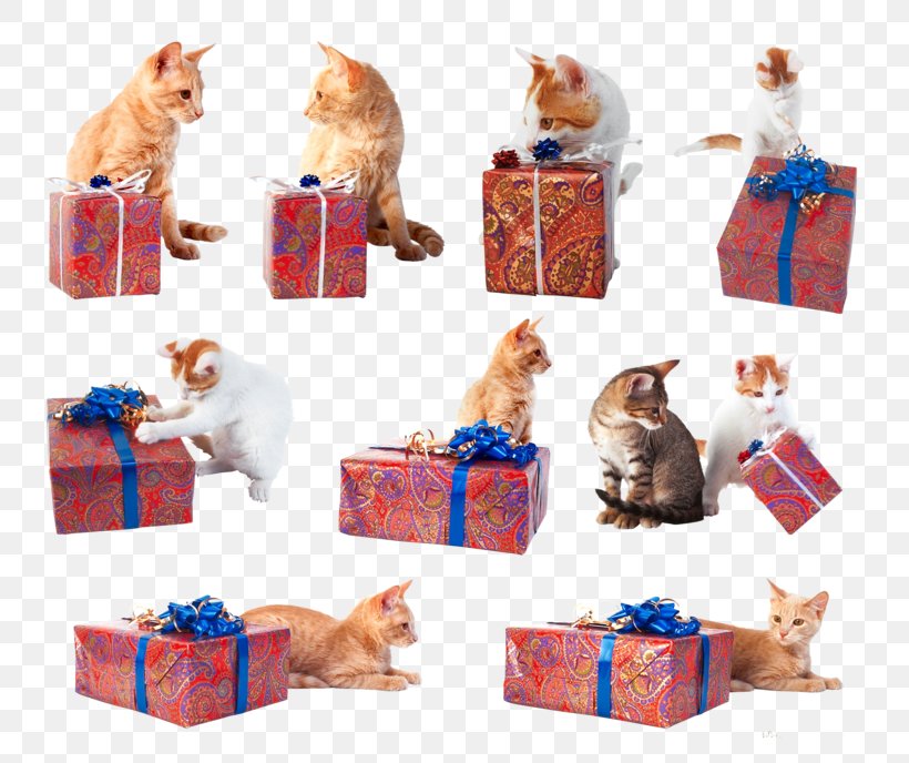 Cat Gift Clip Art, PNG, 800x688px, Cat, Box, Christmas, Christmas Ornament, Flower Download Free