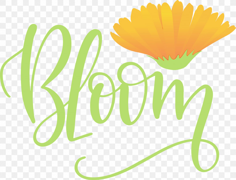 Logo Text Daisy Family Flower, PNG, 3000x2297px, Bloom, Daisy Family, Flower, Logo, Paint Download Free