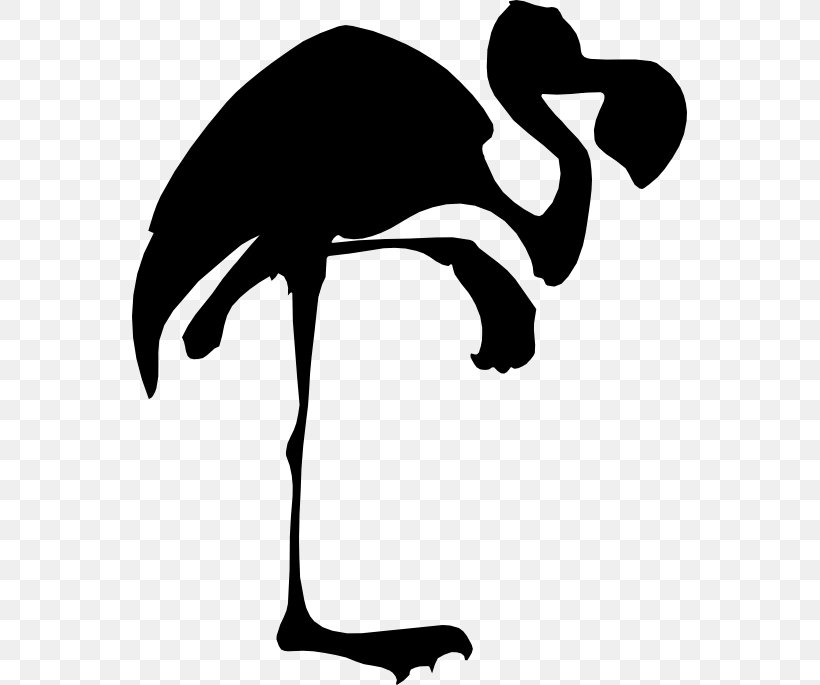 Swans Beak Goose Bird Ducks, PNG, 555x685px, Swans, Beak, Bird, Duck, Ducks Download Free